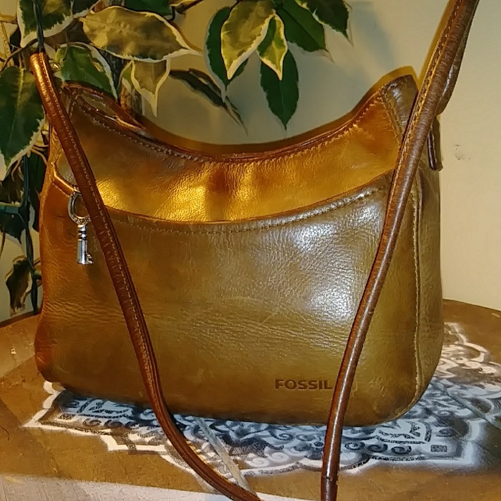 Fossil Bag